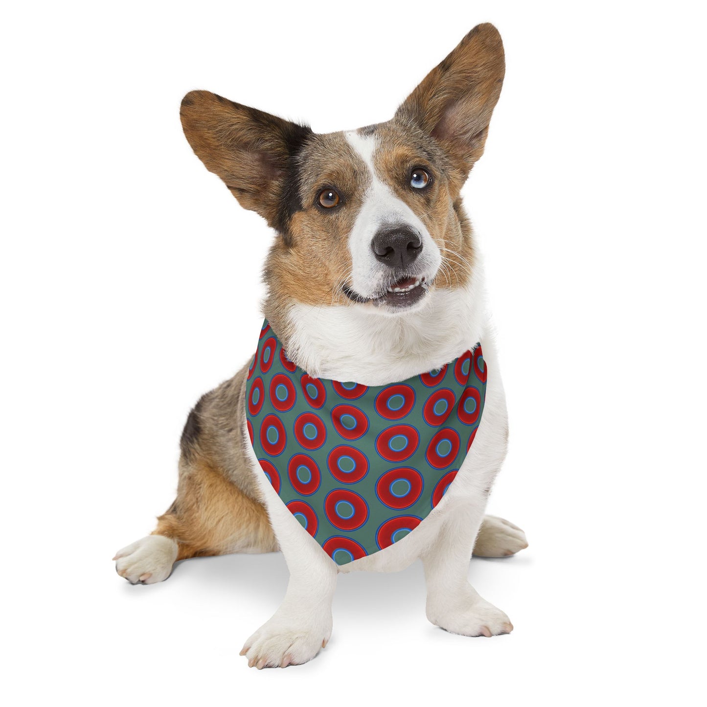 Jim's Lumpy Bandana Pet Collar - vivid red donuts w/Fenway green background