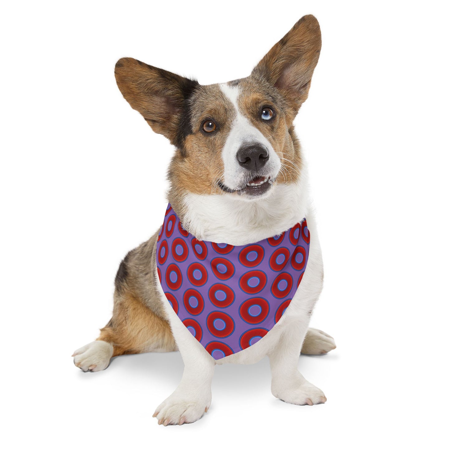 Jim's Lumpy Bandana Pet Collar - vivid red donuts w/light purple background
