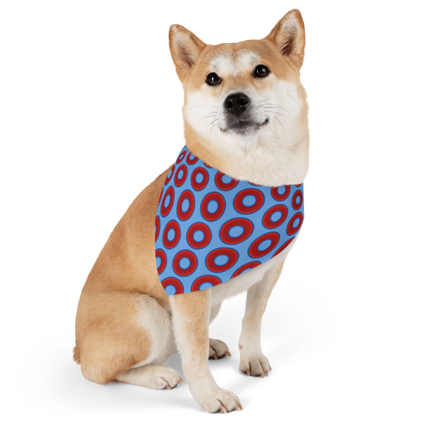 Jim's Lumpy Bandana Pet Collar - vivid red donuts w/light blue background