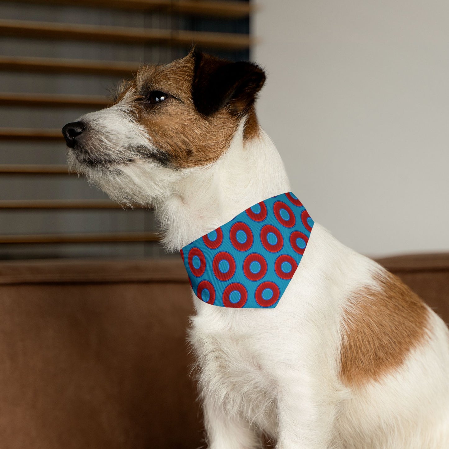 Jim's Lumpy Bandana Pet Collar - vivid red donuts w/aquamarine blue background