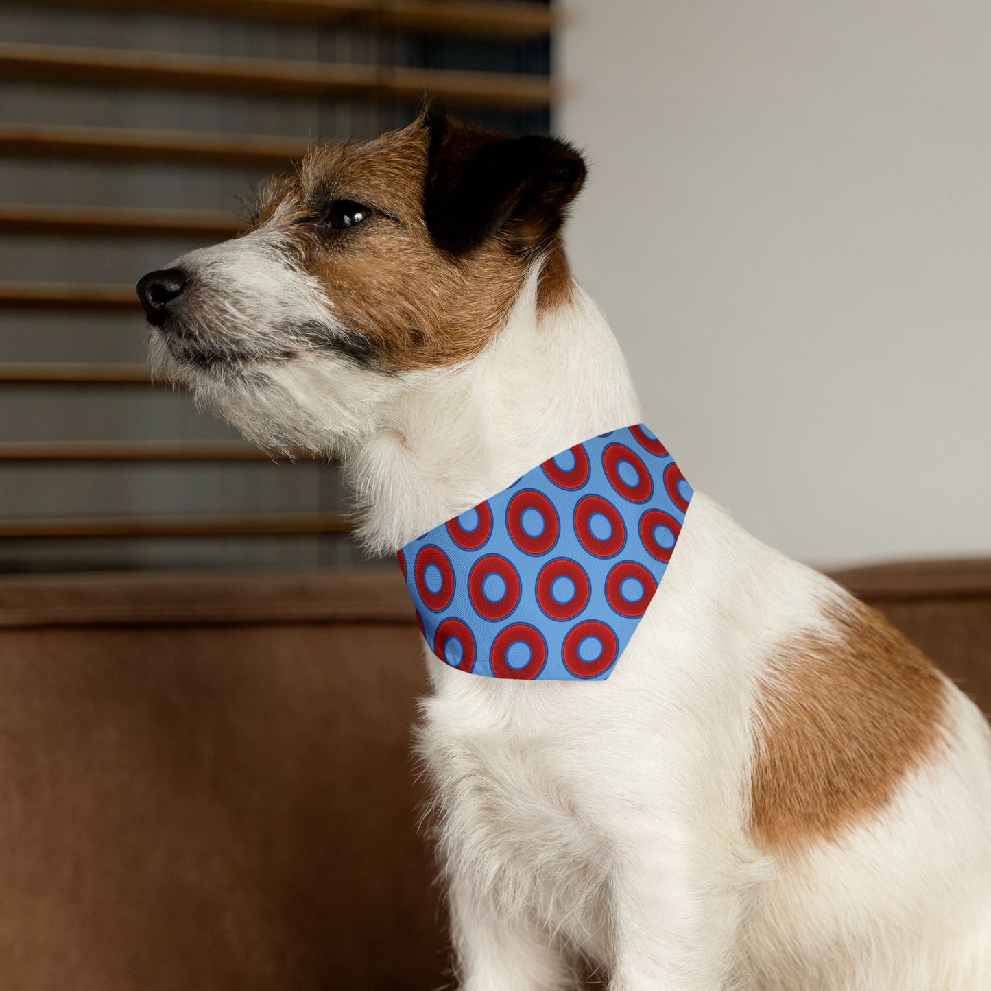 Jim's Lumpy Bandana Pet Collar - vivid red donuts w/light blue background
