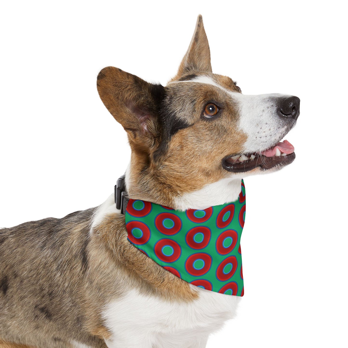 Jim's Lumpy Bandana Pet Collar - vivid red donuts w/jade green background