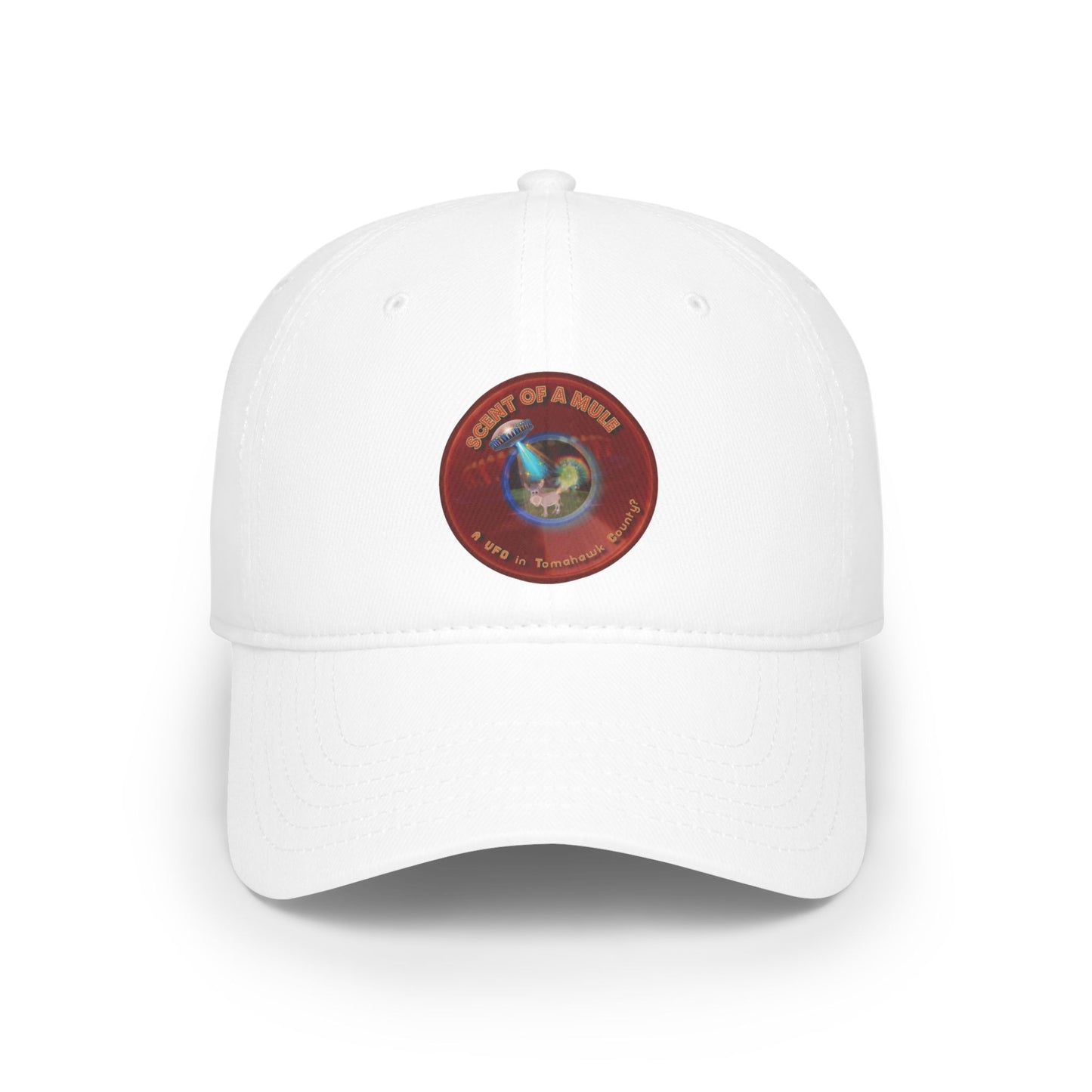 Lumpy Donut Baseball Cap - "Donut Caps? In Tomahawk County?" - variant 3 - vivid red donut w/
